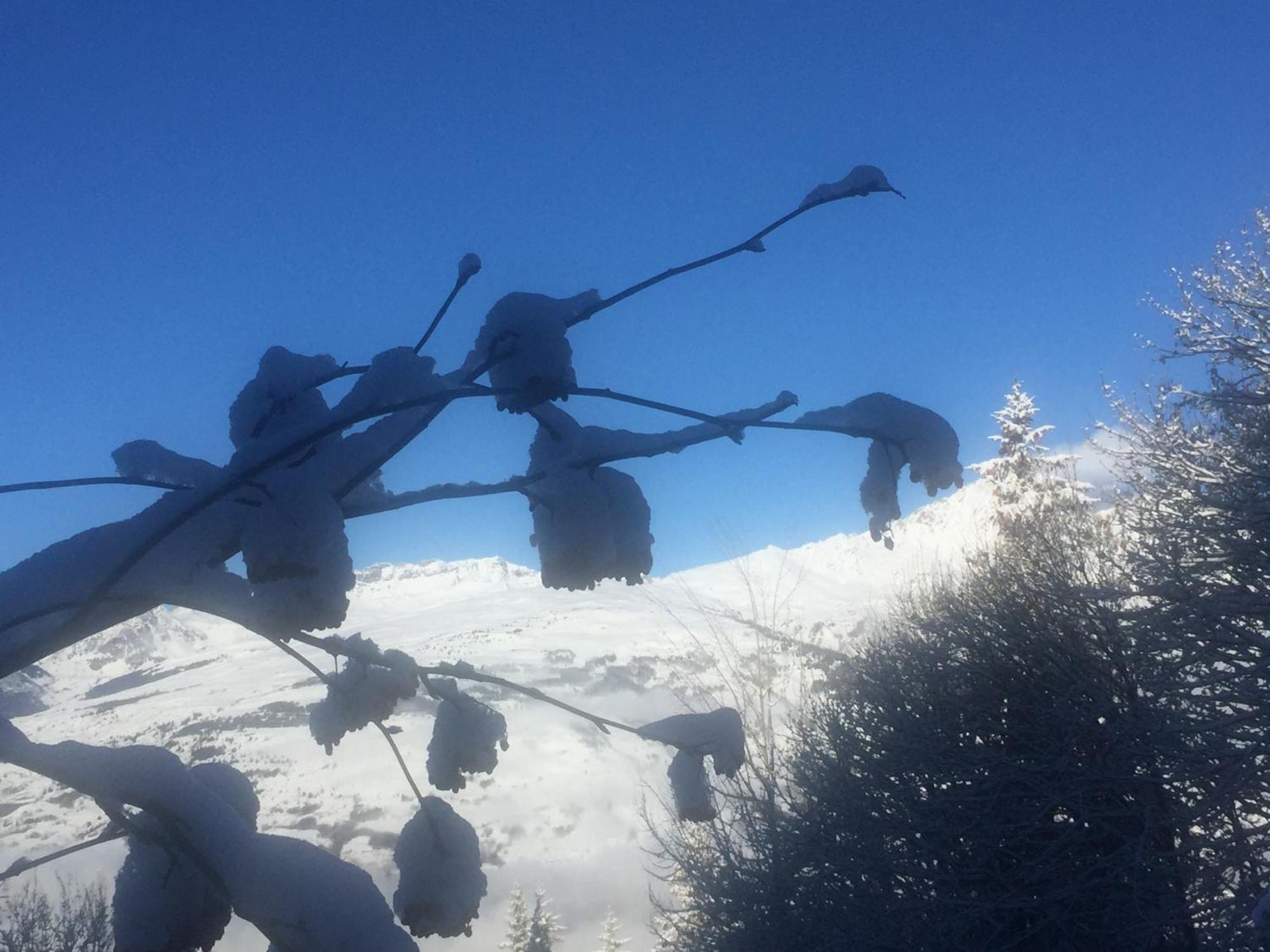 Les Arcs 1800 Apartment Bourg-Saint-Maurice Bagian luar foto